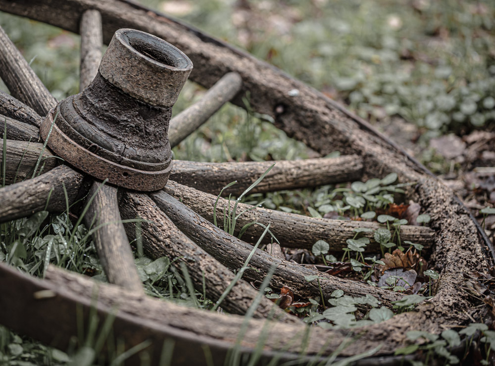 Platz 7 Anton Kienle